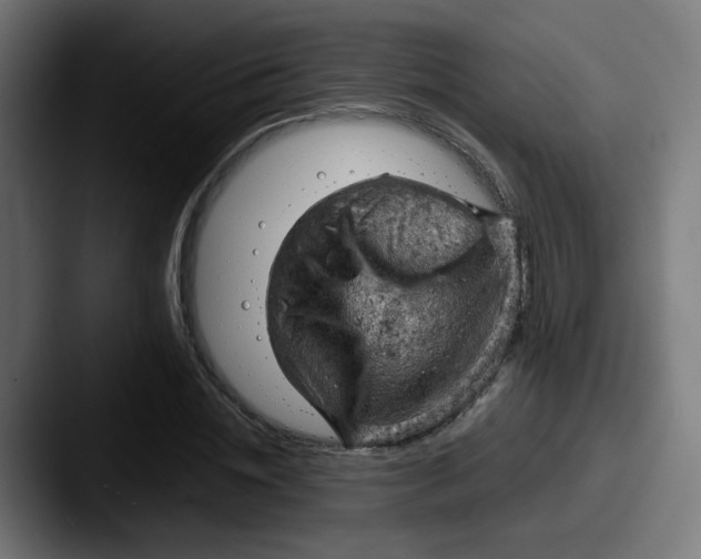 X0000087550828200705181105