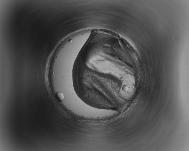 X0000087550832200705181105