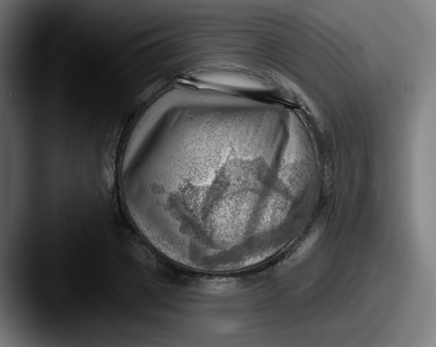 X0000087550833200705181105