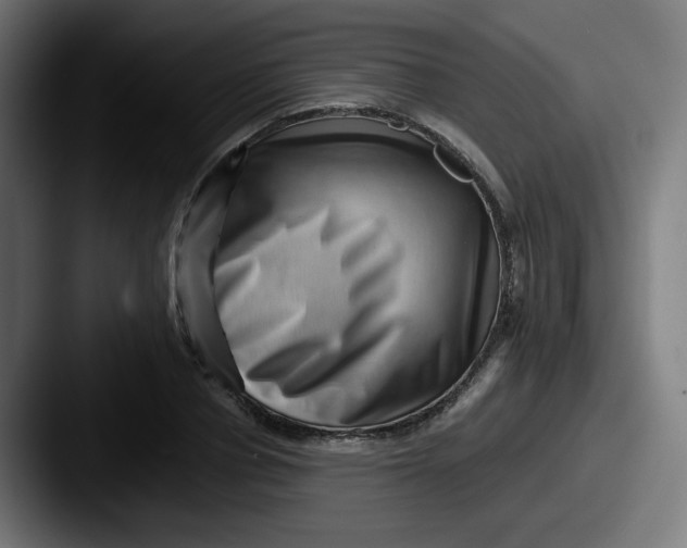 X0000087550834200705181105