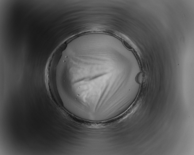 X0000087550835200705181105