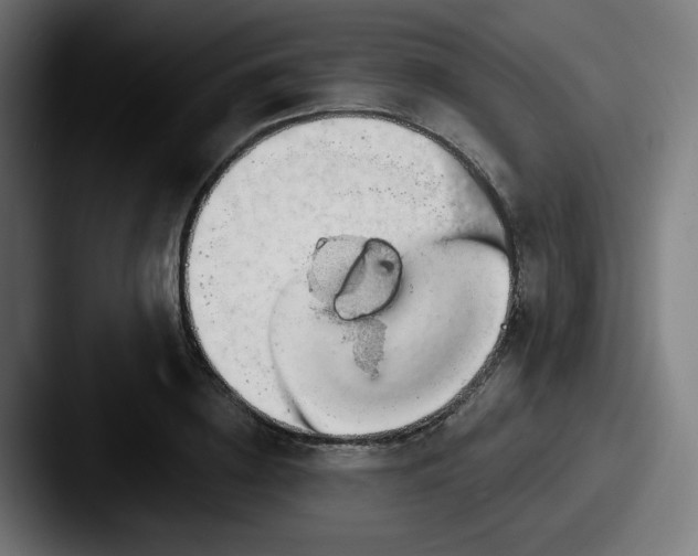 X0000087550836200705181105