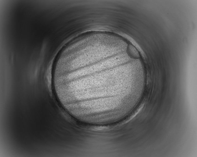 X0000087550837200705181105