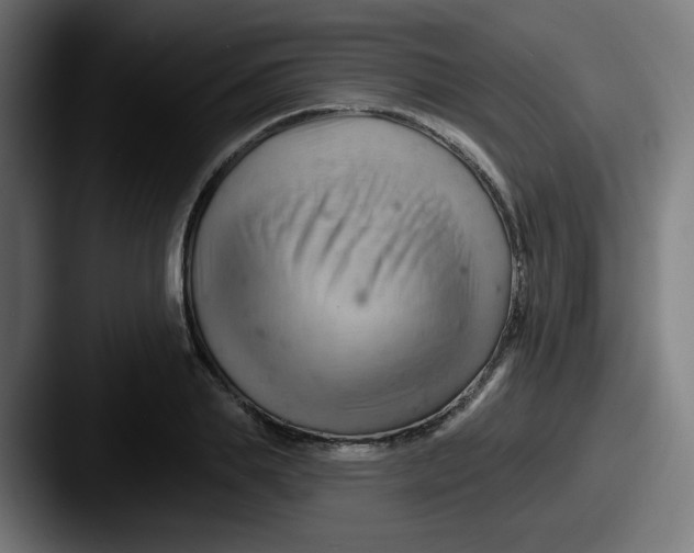 X0000087550839200705181105