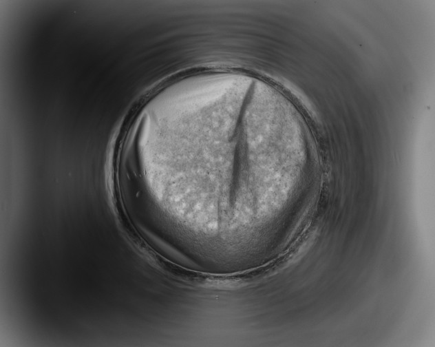 X0000087550840200705181105