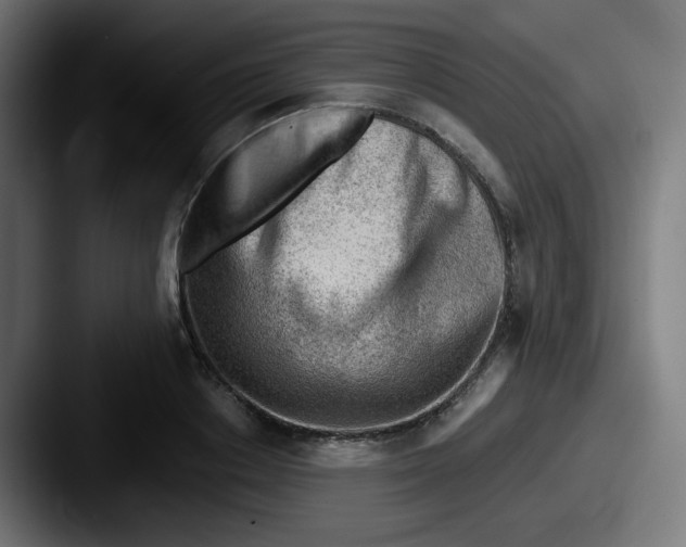 X0000087550842200705181105