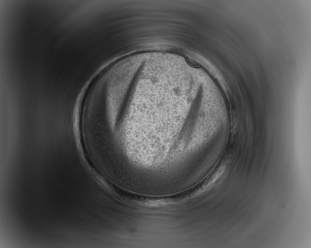 X0000087550843200705181105