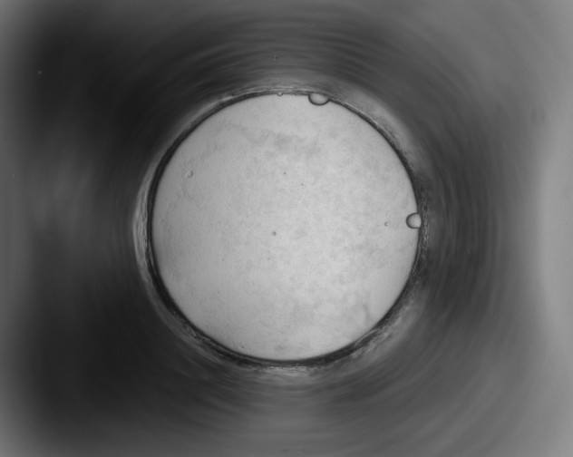 X0000087550844200705181105