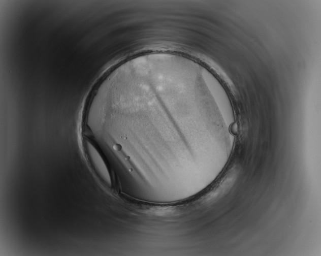 X0000087550845200705181105