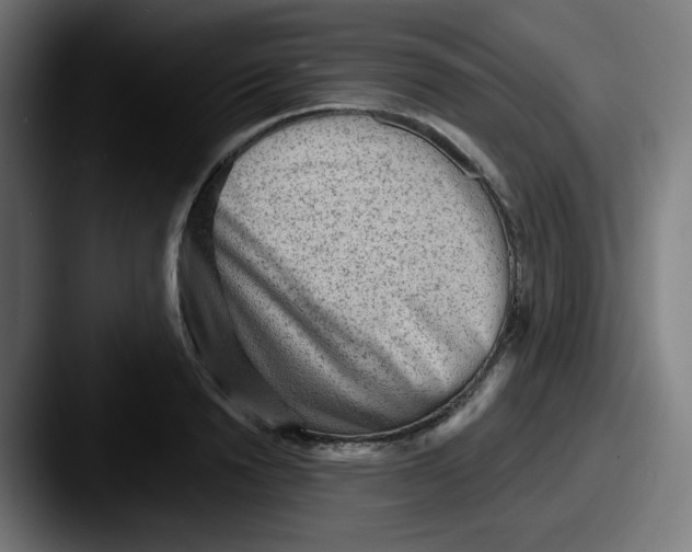 X0000087550846200705181105