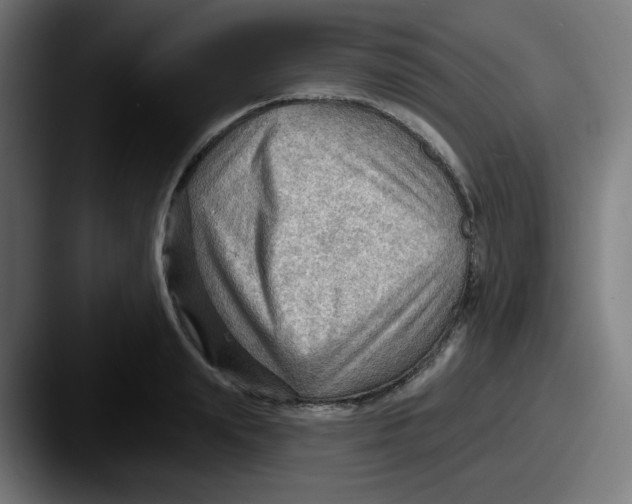 X0000087550847200705181105