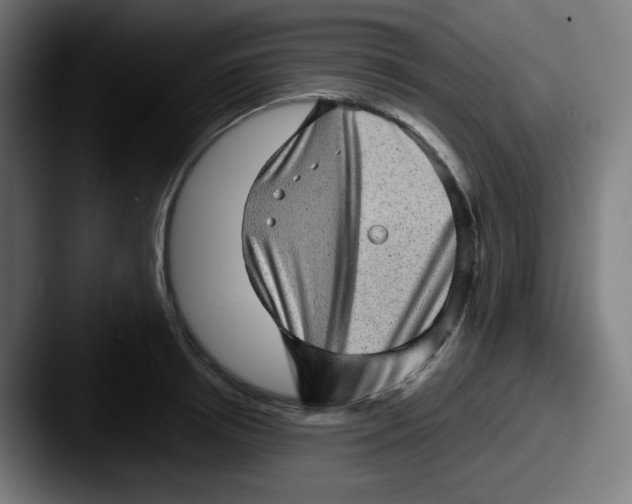 X0000087550850200705181105