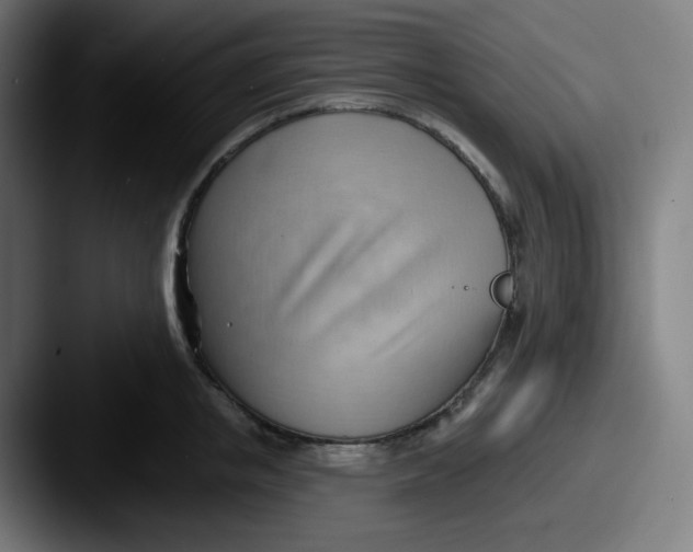 X0000087550853200705181105