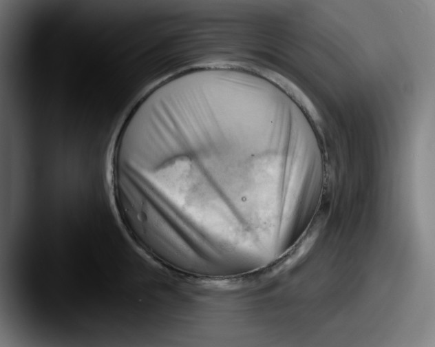 X0000087550855200705181105