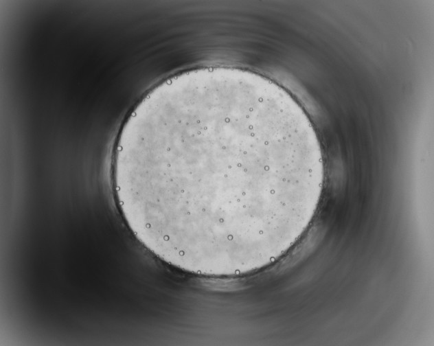 X0000087550856200705181105