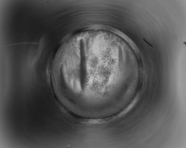 X0000087550857200705181105