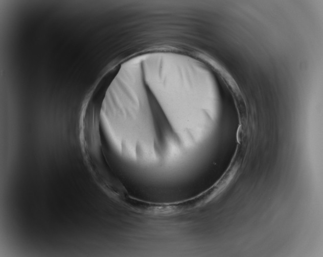 X0000087550858200705181105