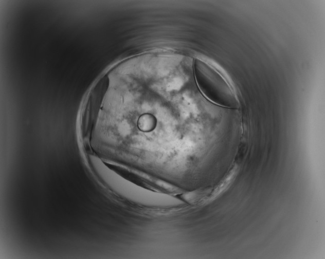 X0000087550859200705181105