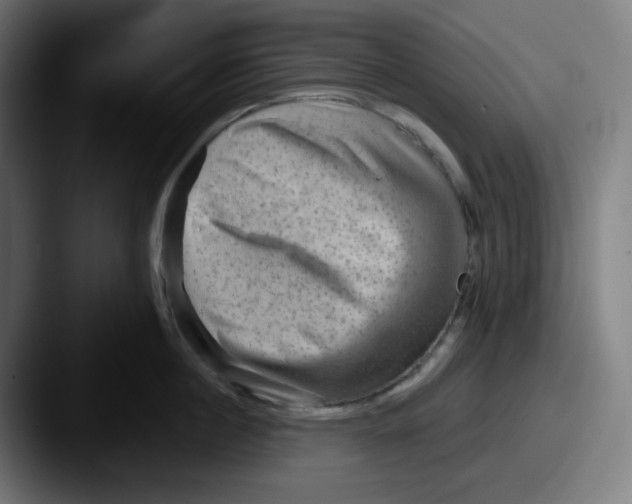 X0000087550860200705181105