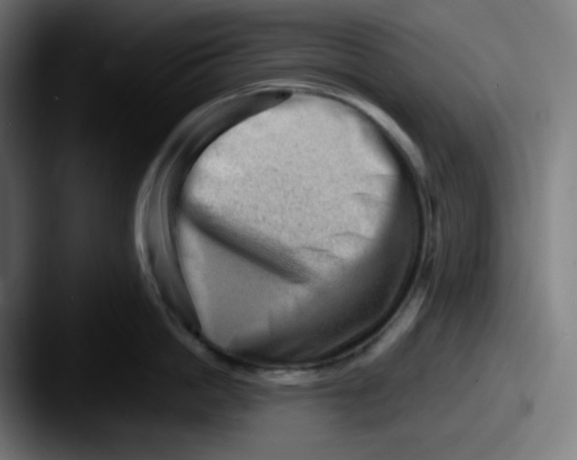 X0000087550862200705181105