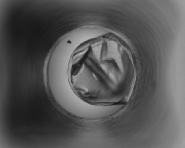 X0000087550864200705181105