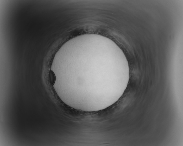 X0000087550865200705181105