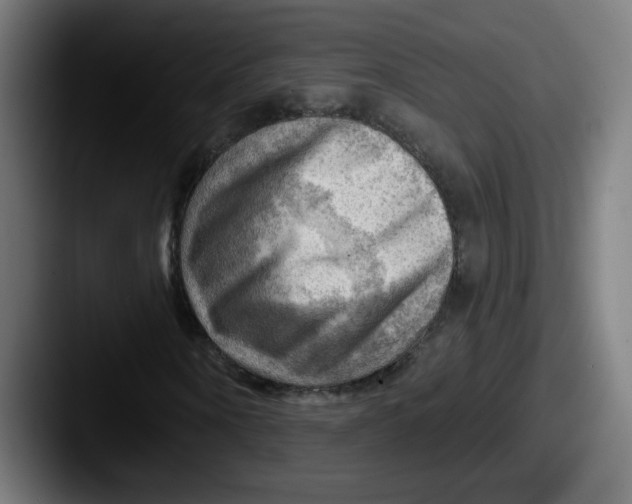 X0000087550866200705181105