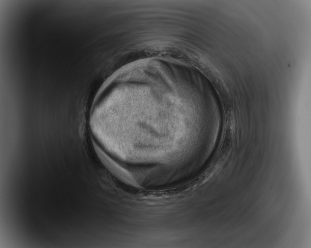 X0000087550868200705181105