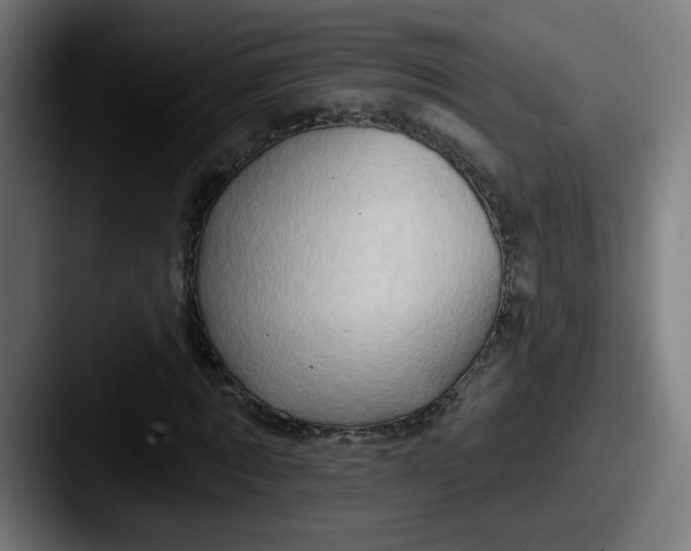 X0000087550869200705181105