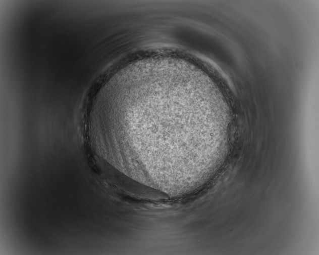 X0000087550871200705181105