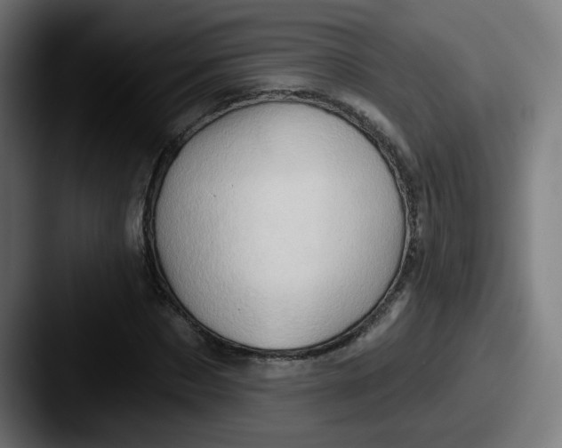 X0000087550873200705181104