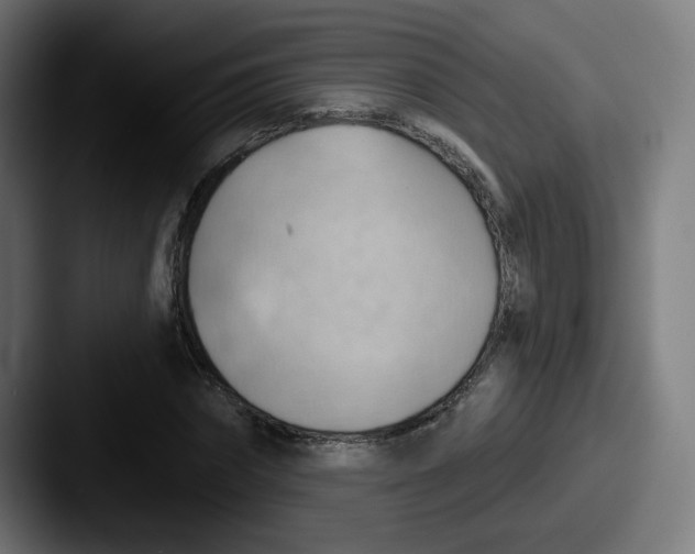 X0000087550874200705181104