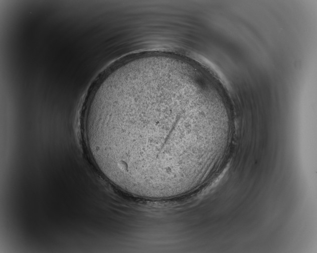 X0000087550875200705181104