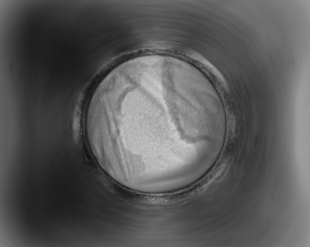 X0000087550878200705181104