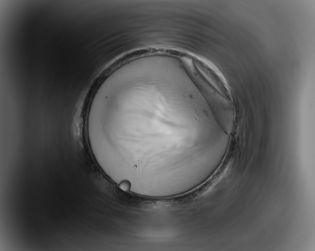 X0000087550879200705181104