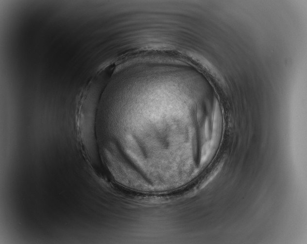 X0000087550881200705181104