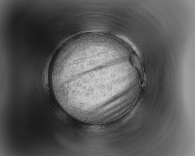 X0000087550883200705181104