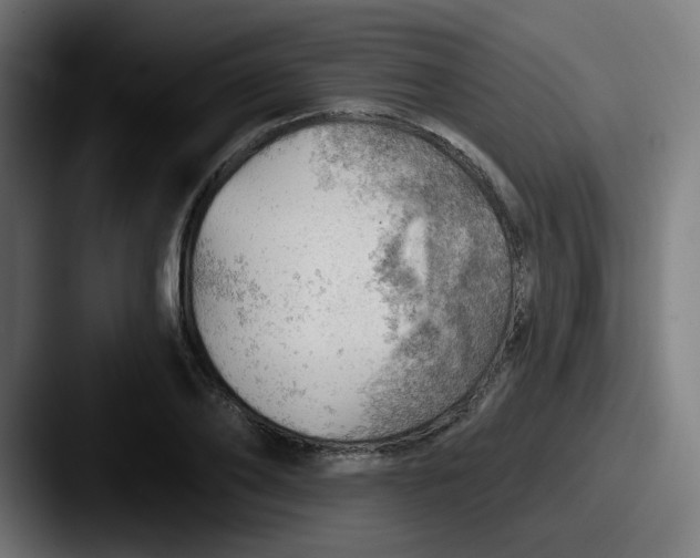 X0000087550886200705181104