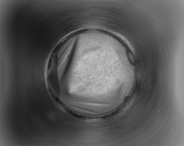 X0000087550887200705181104