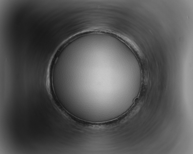 X0000087550888200705181104