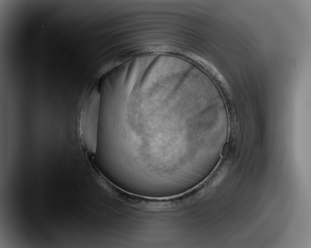 X0000087550889200705181104