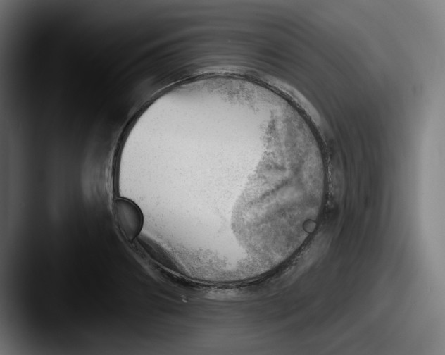 X0000087550890200705181104