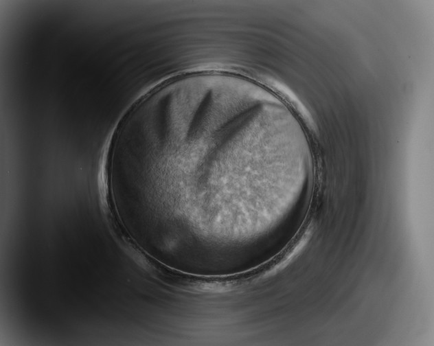 X0000087550892200705181104