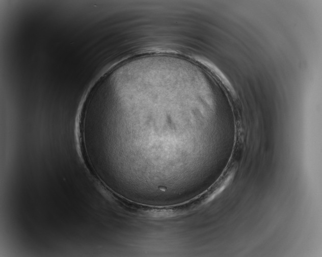 X0000087550893200705181104