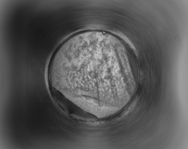 X0000087550895200705181104