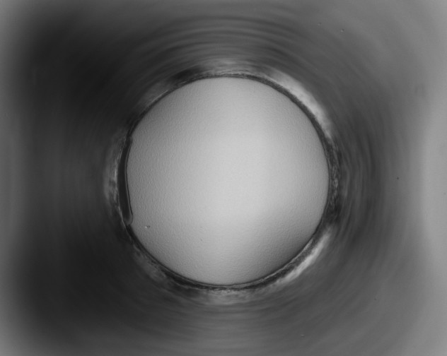 X0000087550897200705181104