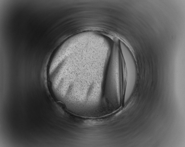 X0000087550898200705181104