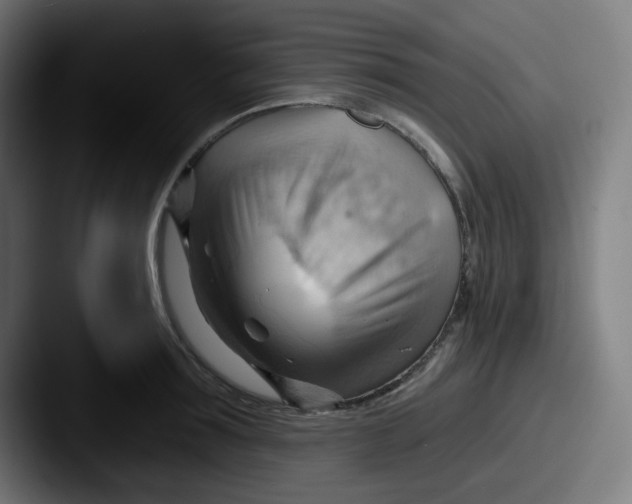 X0000087550899200705181104