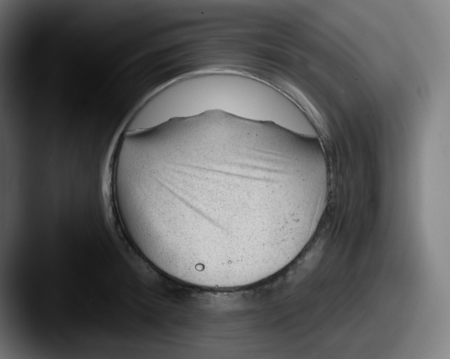 X0000087550900200705181104