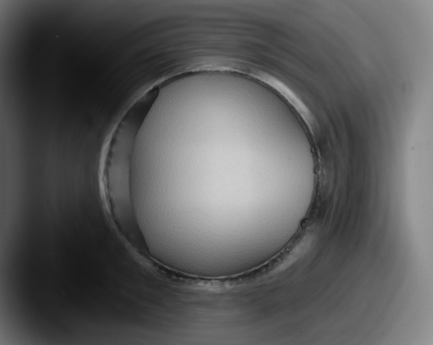 X0000087550901200705181104